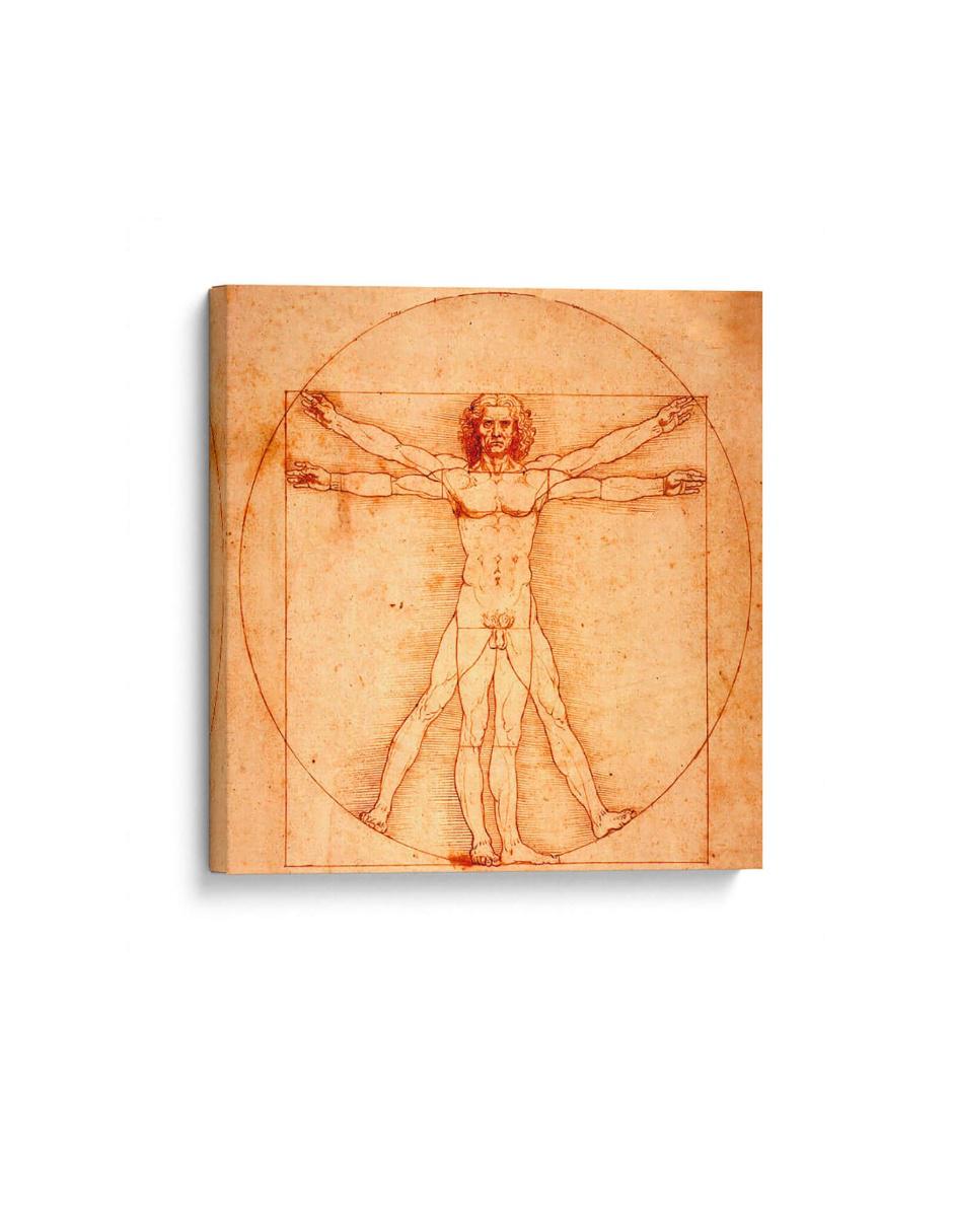 Cuadro impreso en lienzo Hombre de Vitruvio Leonardo Da Vinci Cuadro impreso en lienzo Hombre de Vitruvio Leonardo Da Vinci