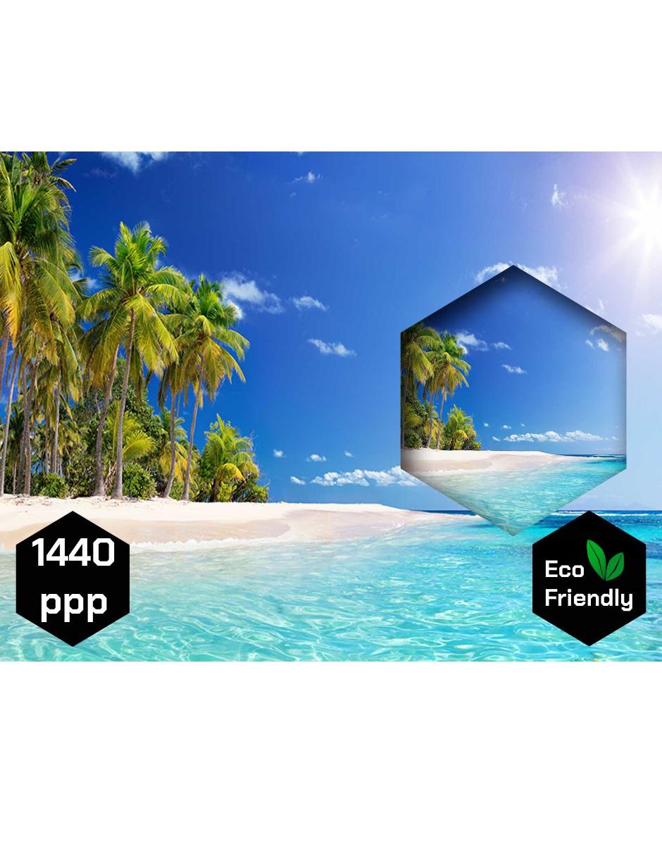 Cuadro Decorativo Canvas Naturaleza Playa Sol y Arena rectangular 5
