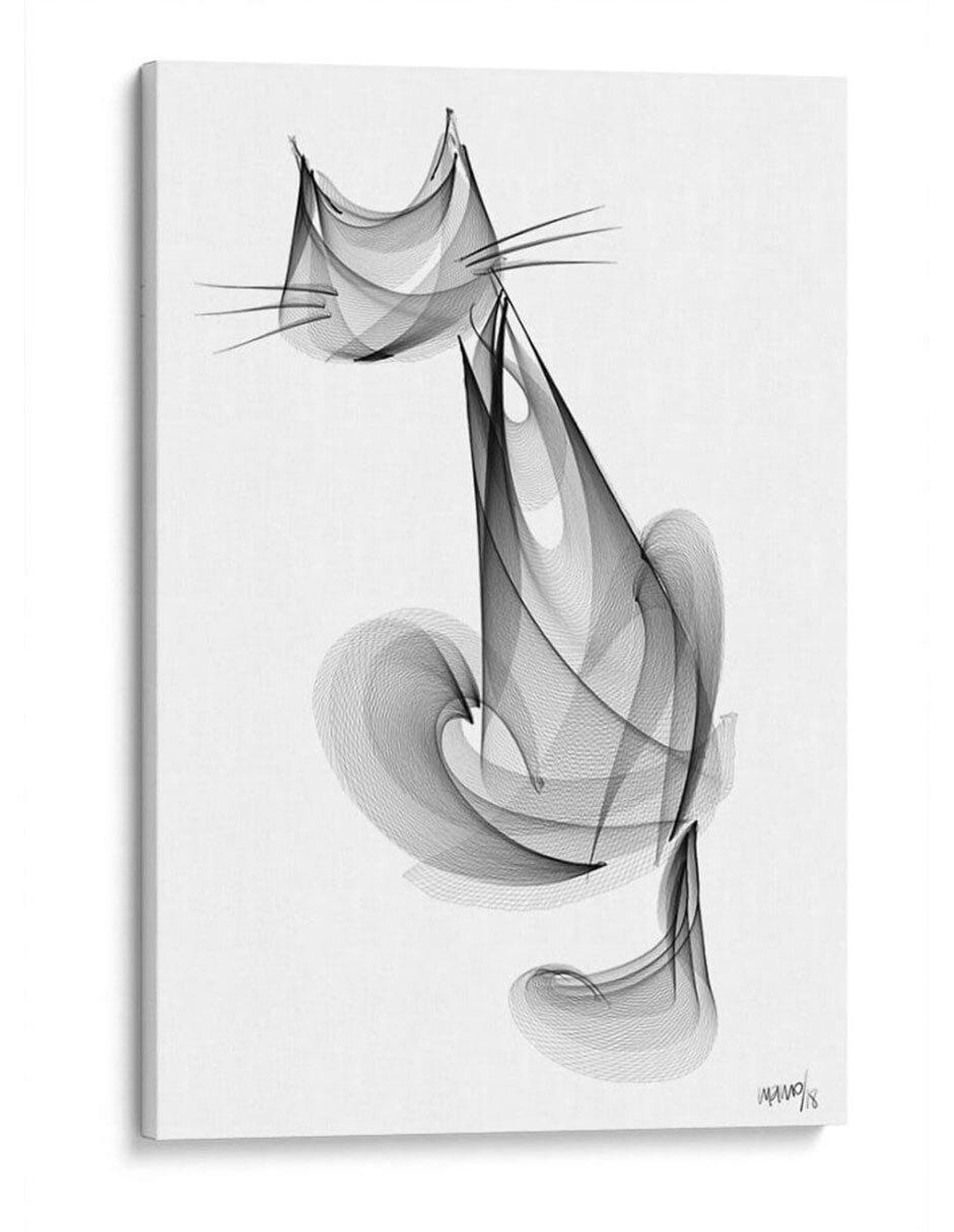 Litografía Gato Curioso técnica Impresión Litografía Gato Curioso técnica Impresión
