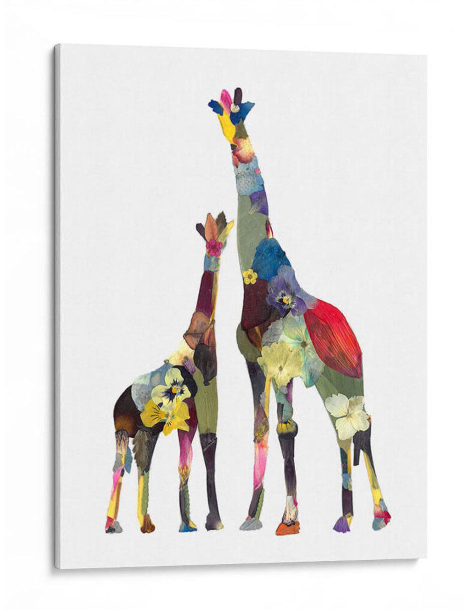 Litografía Giraffe Bath Color técnica Impresión Litografía Giraffe Bath Color técnica Impresión