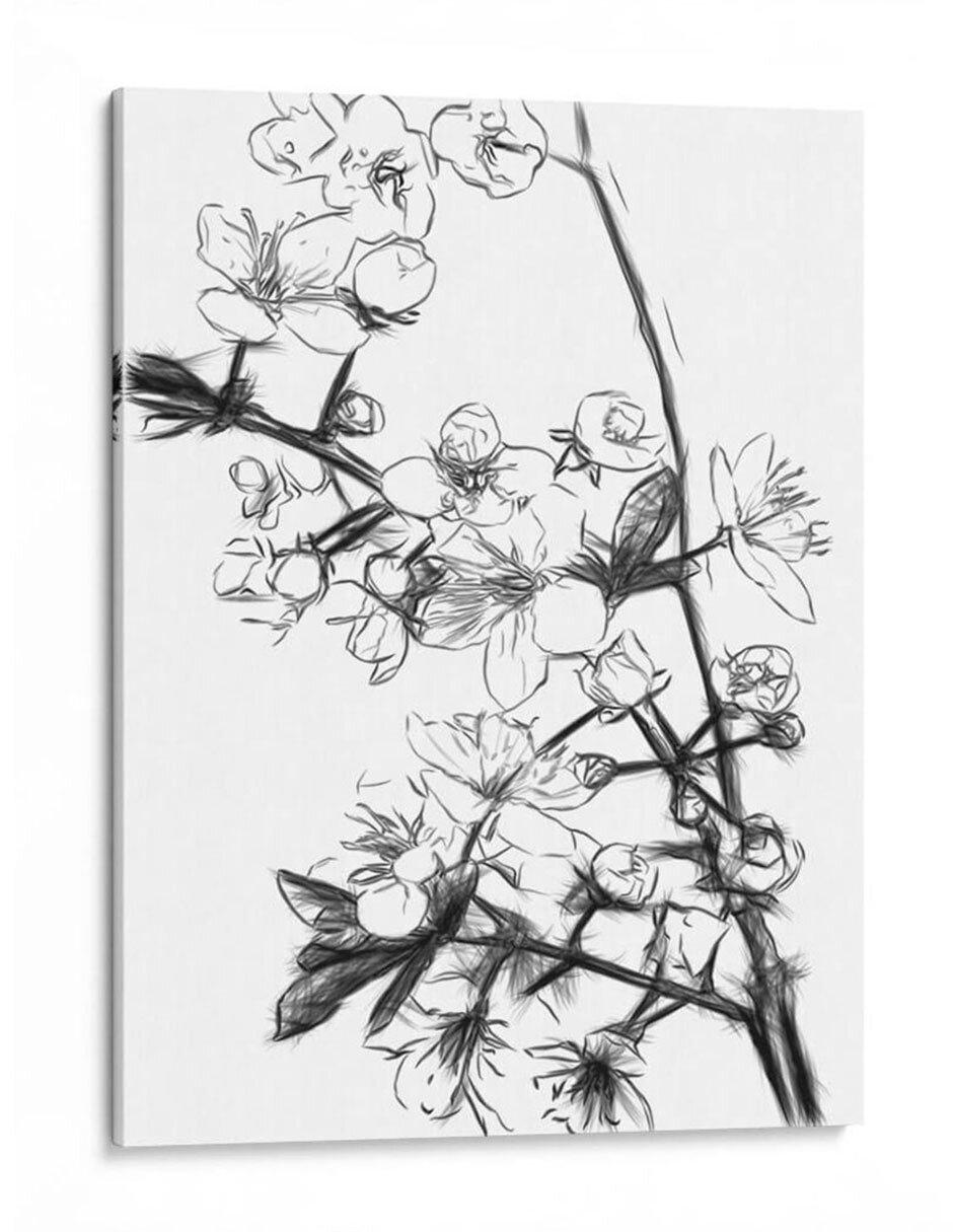 Litografía Flores de Cerezo Byn técnica Impresión Litografía Flores de Cerezo Byn técnica Impresión