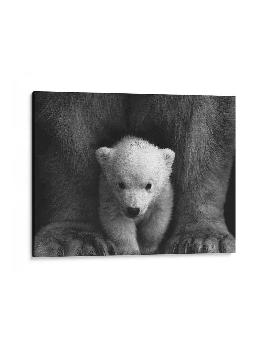 Litografía Principios del Oso Polar técnica Impresión Litografía Principios del Oso Polar técnica Impresión