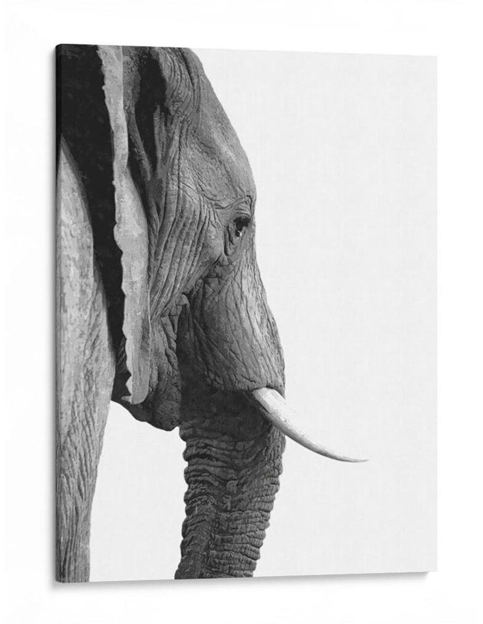 Litografía Perfil de Elefante Byn técnica Impresión