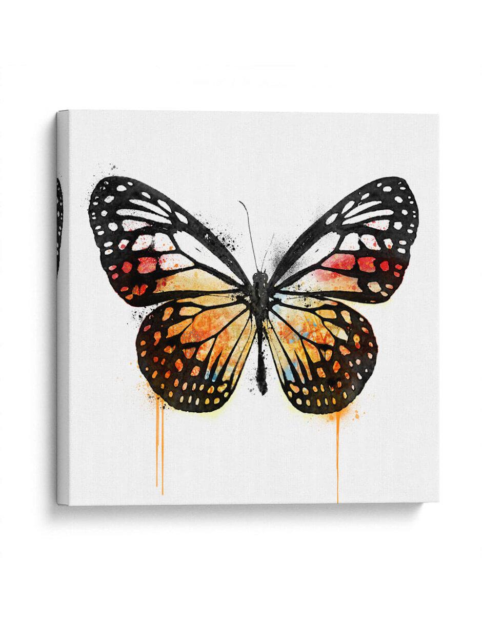 Litografía Mariposa Naranja técnica Impresión Litografía Mariposa Naranja técnica Impresión