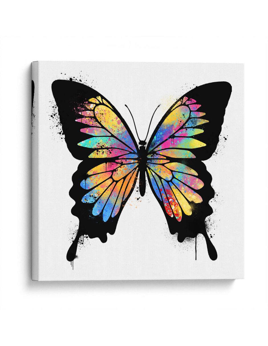 Litografía Mariposa Colores técnica Impresión