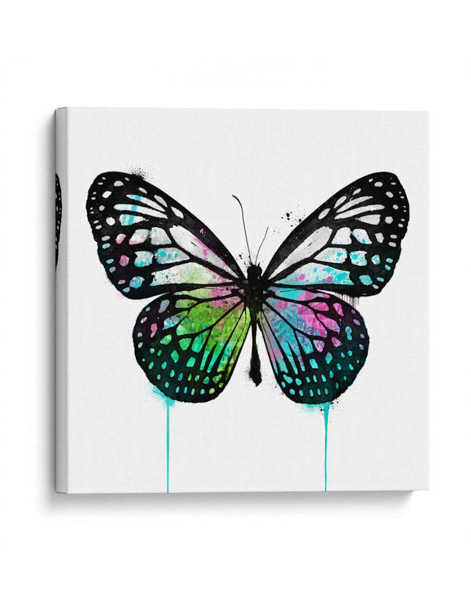 Litografía Mariposa Verde técnica Impresión Litografía Mariposa Verde técnica Impresión