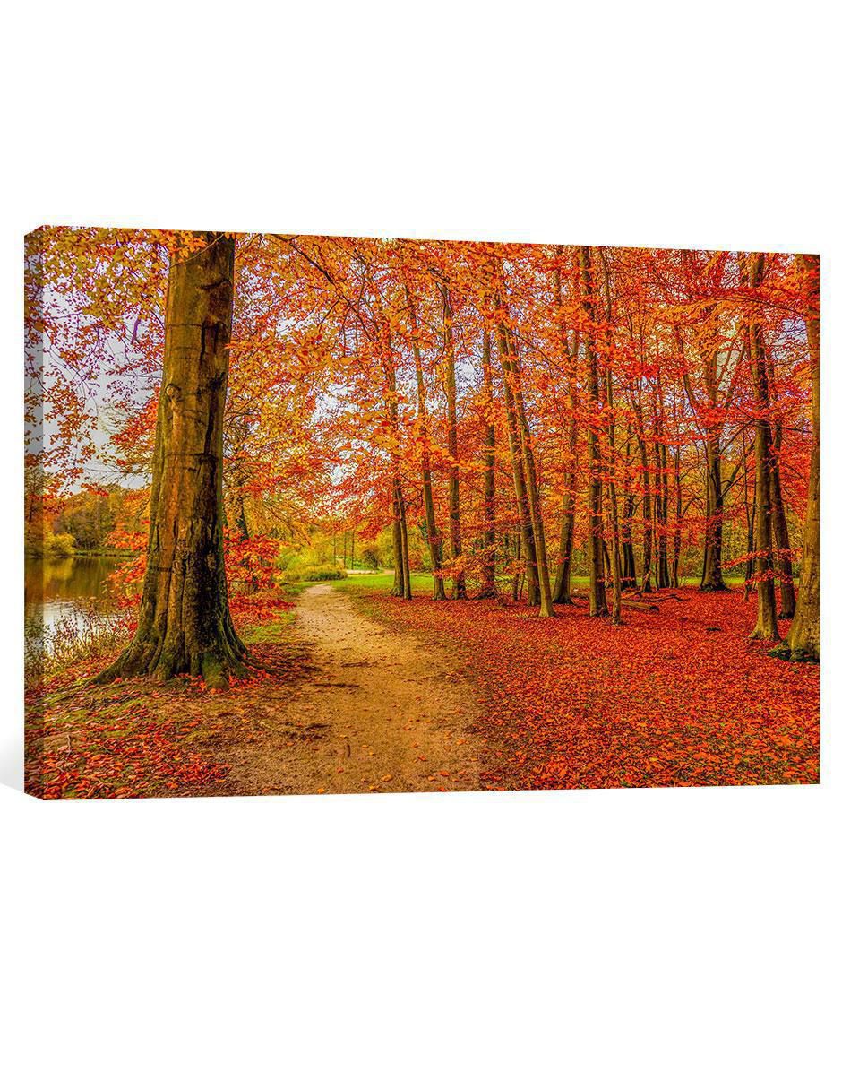 Fotografía Naturaleza