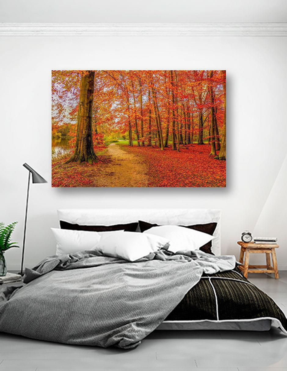 Fotografía Naturaleza