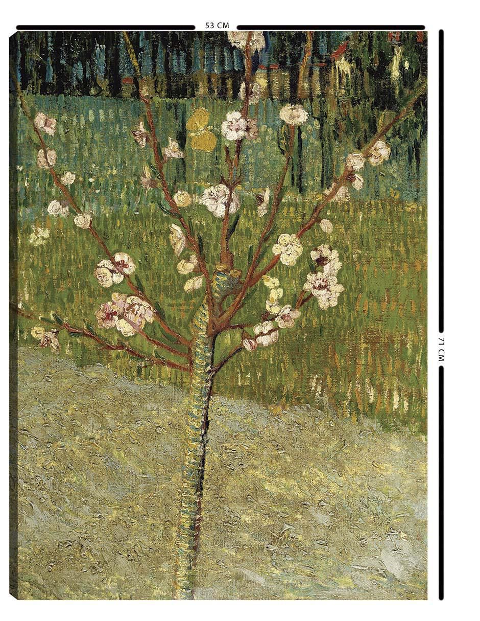 Cuadro decorativo Cuadros Jr Almendro en flor
