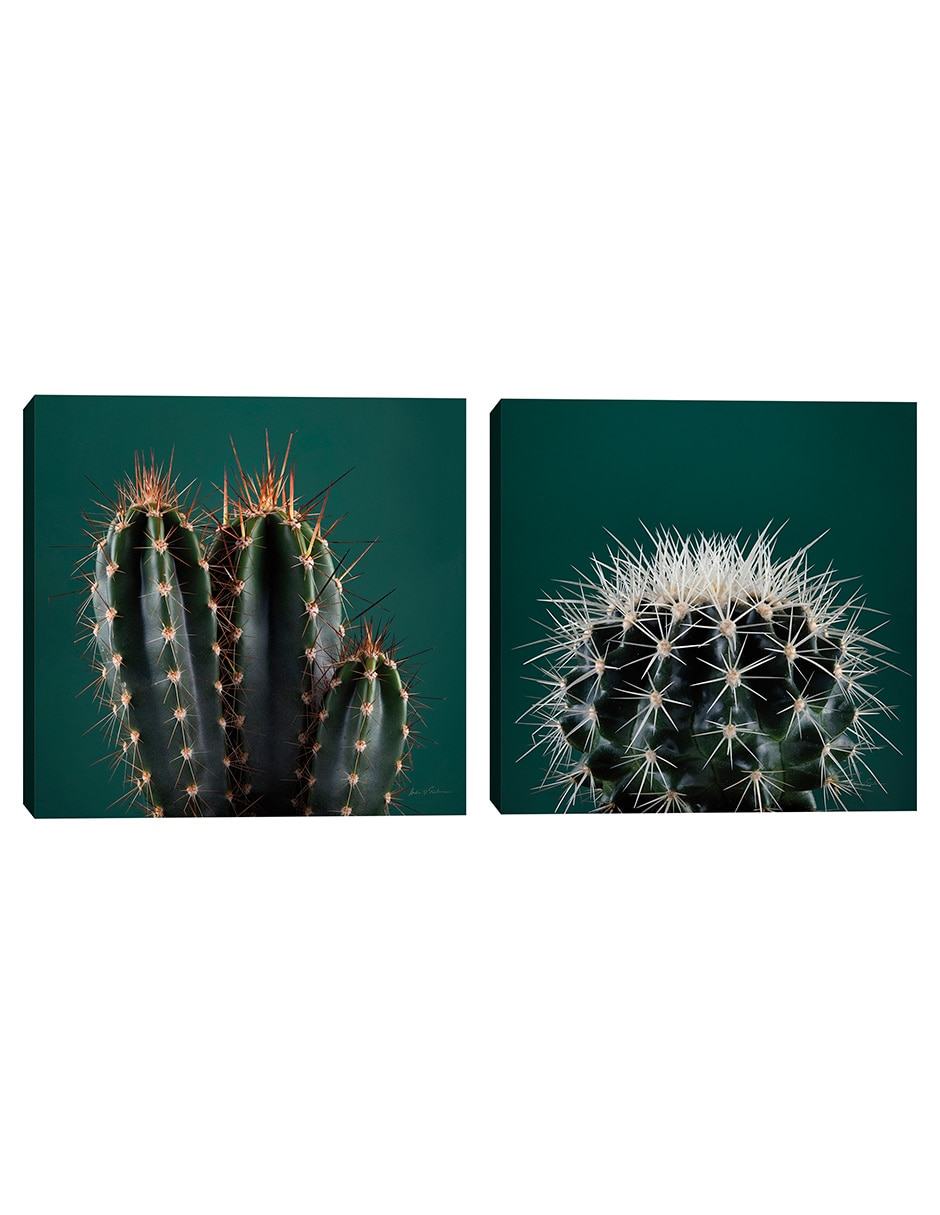Pintura Cactus Iii técnica mixta Cactus Iii