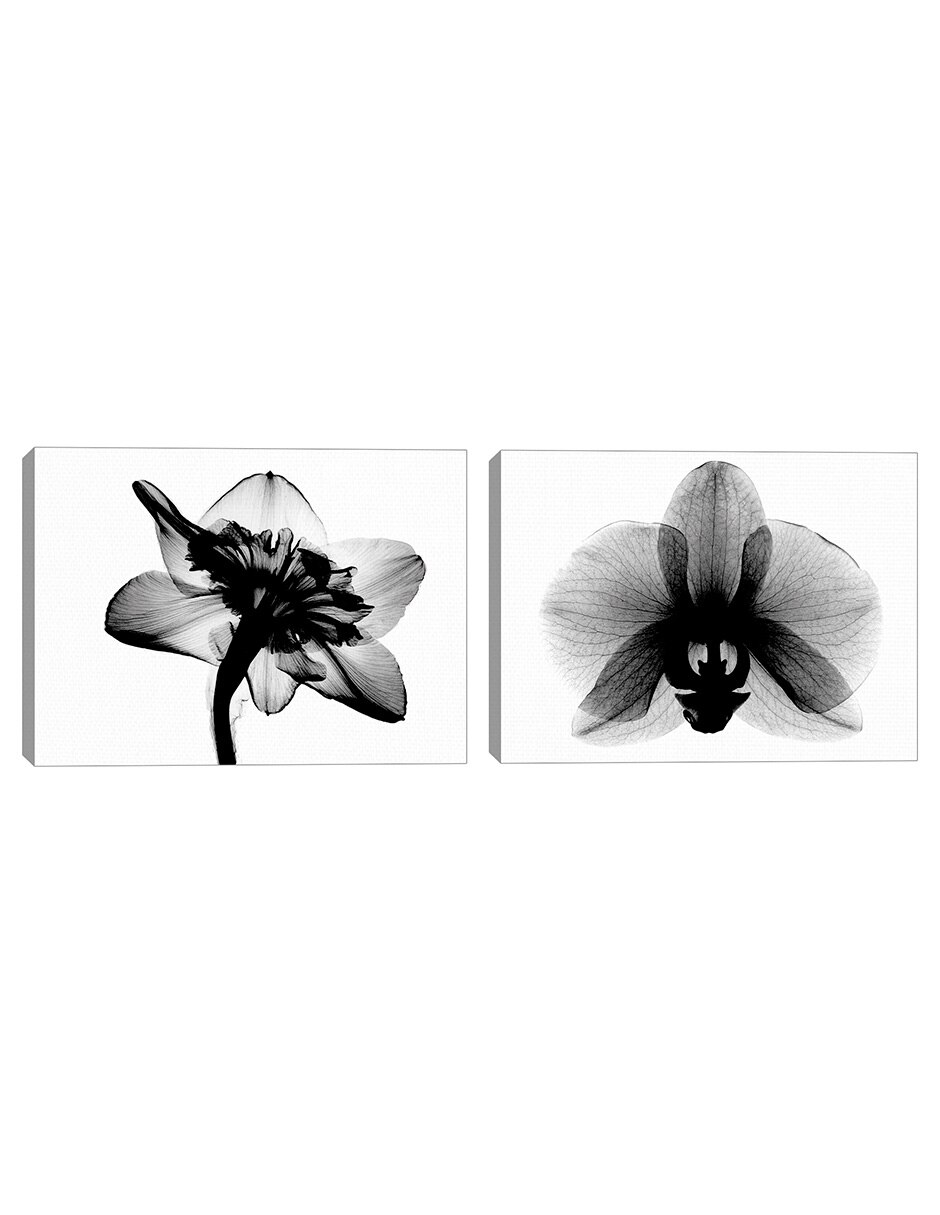 Pintura Feature Black and White XRay Floral Prints técnica mixta Pintura Feature Black and White XRay Floral Prints técnica mixta