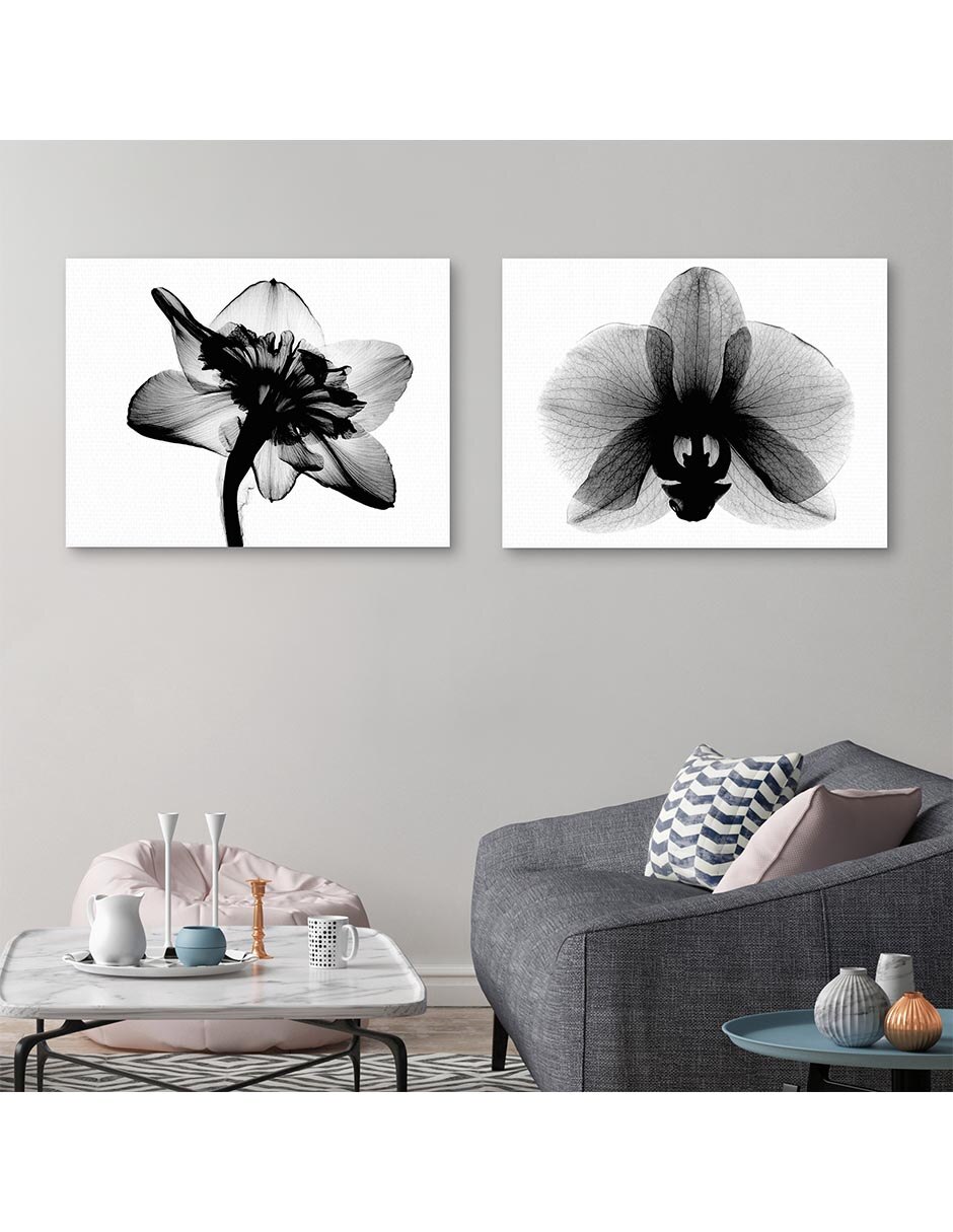 Pintura Feature Black and White XRay Floral Prints técnica mixta 2