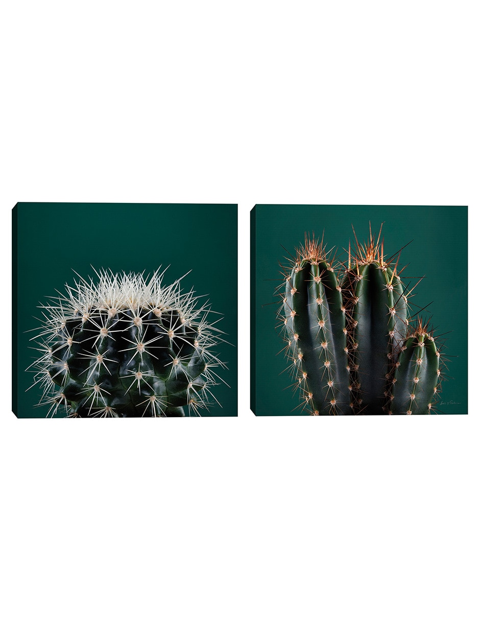 Pintura Cactus Iii técnica mixta Cactus Iii Pintura Cactus Iii técnica mixta Cactus Iii