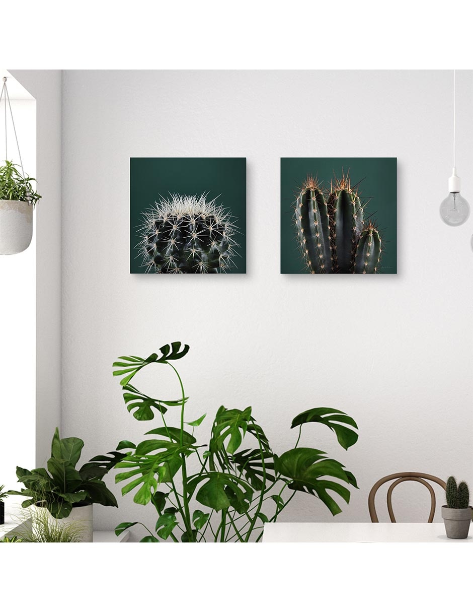 Pintura Cactus Iii técnica mixta Cactus Iii 2