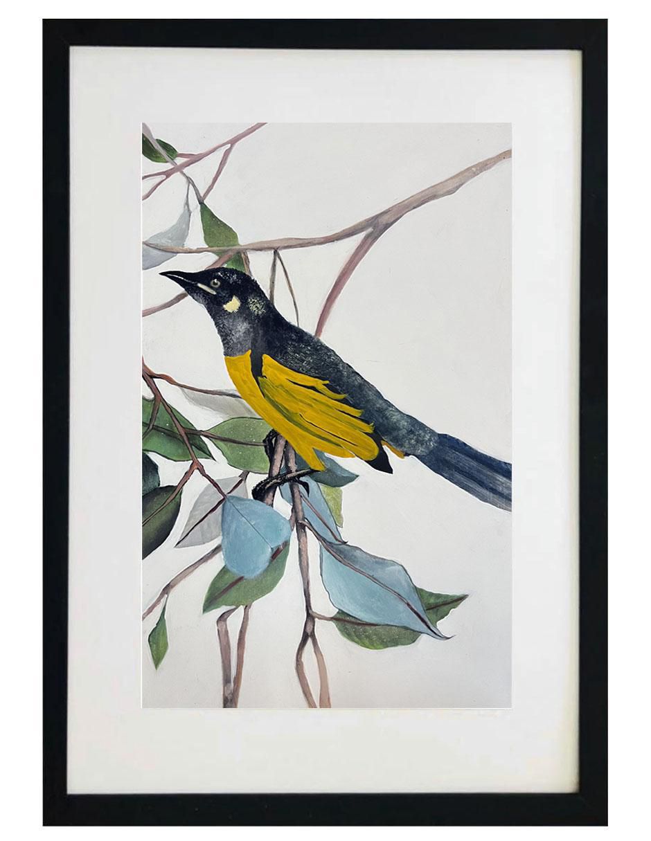 Pintura Yellow Bird técnica acrílico Animalart