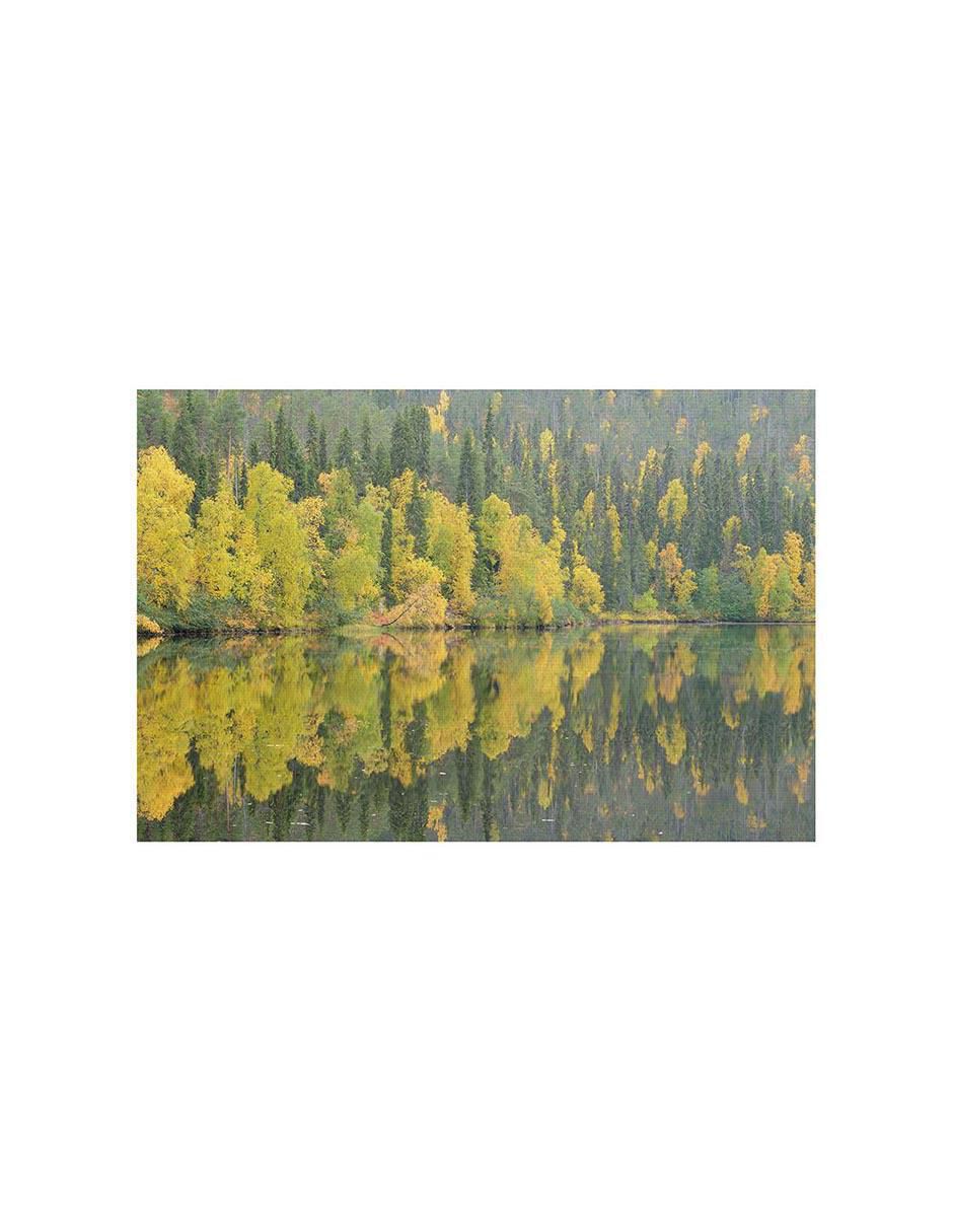 Pintura Reflejos De Reflexiones técnica mixta Reflejos De Reflexiones 2