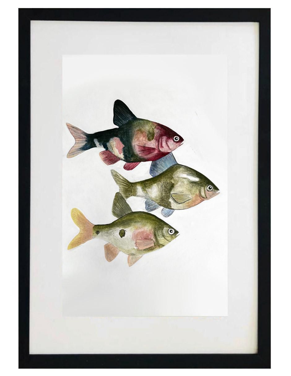 Pintura Peces En El Río técnica acrílico Animalart Pintura Peces En El Río técnica acrílico Animalart