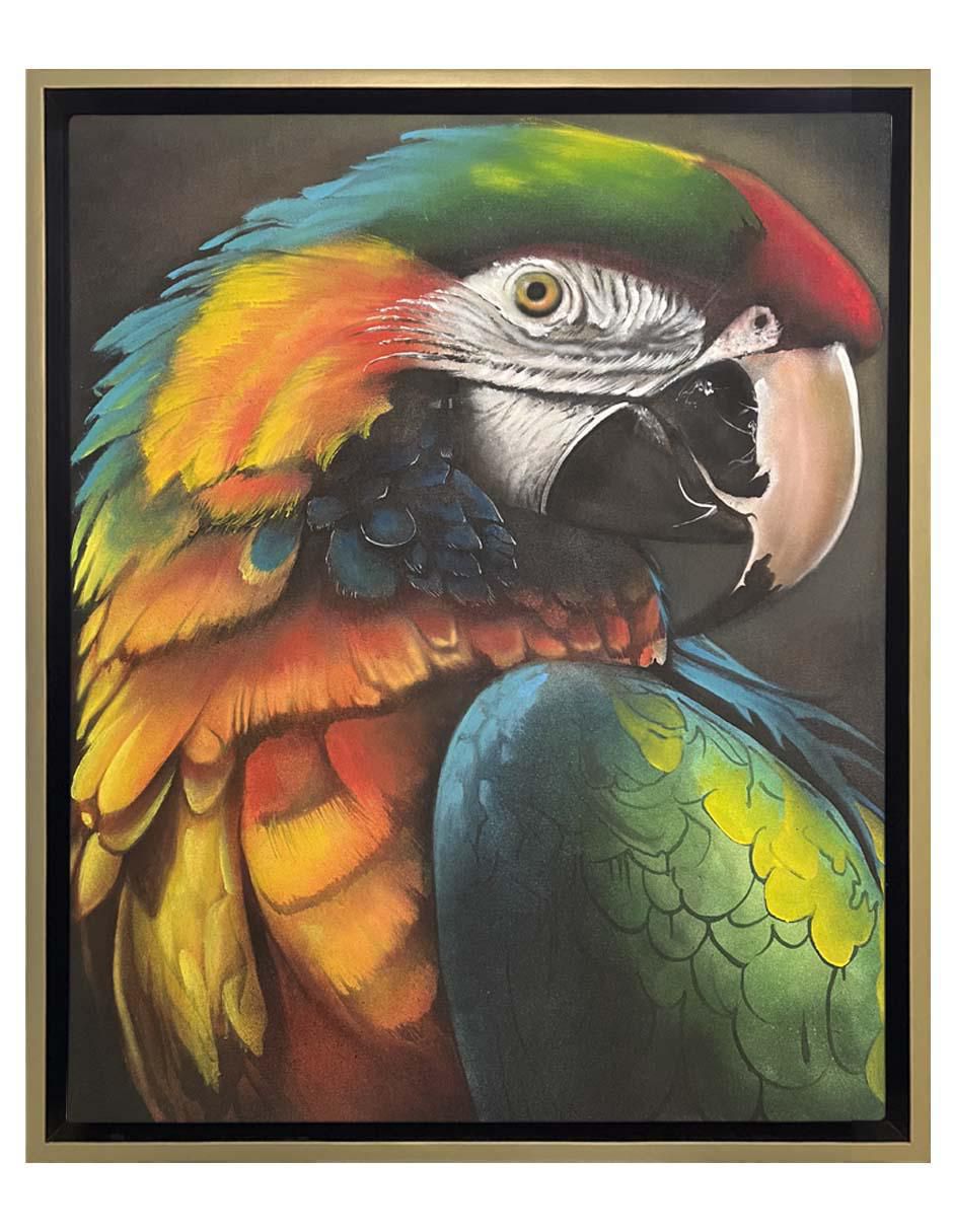 Pintura Perico Ii técnica mixta Animalart Pintura Perico Ii técnica mixta Animalart