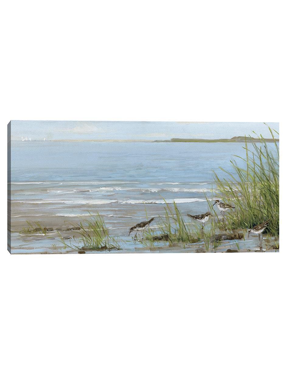 Pintura Playa Sandpiper técnica mixta Costa Pintura Playa Sandpiper técnica mixta Costa
