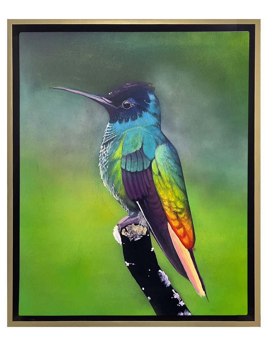 Pintura Colibrí técnica acrílico Animalart