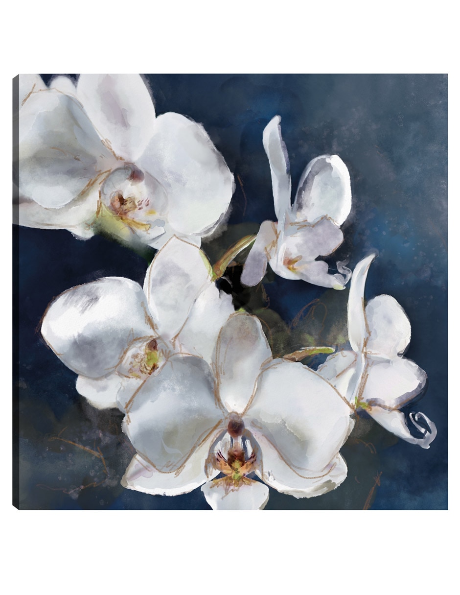Cuadro decorativo Orquídea Sobre Azul técnica mixta Floral Cuadro decorativo Orquídea Sobre Azul técnica mixta Floral