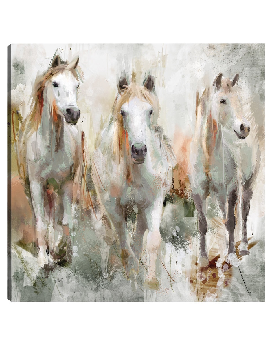 Cuadro decorativo Trifecta técnica mixta Animales Domésticos