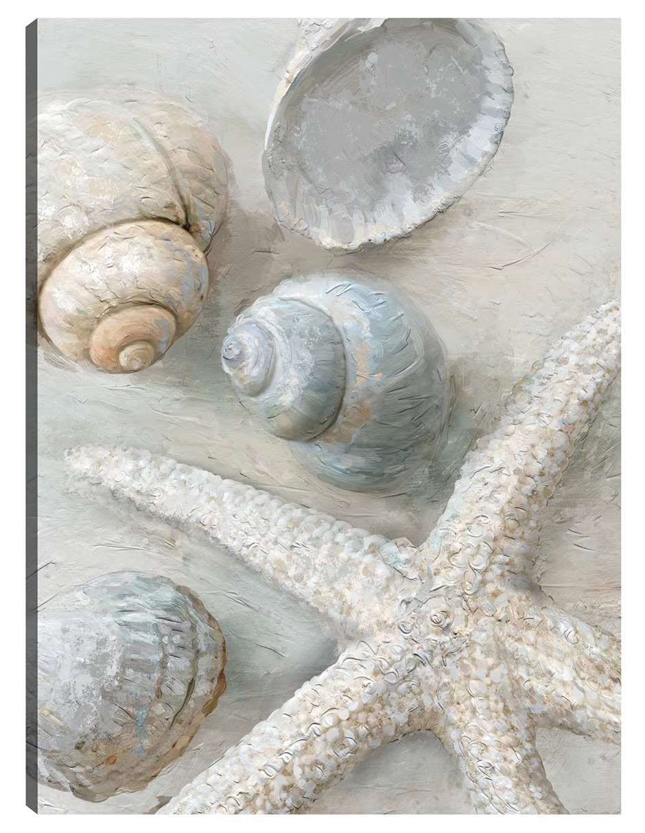 Cuadro decorativo Tesoros técnica mixta Animales Marinos