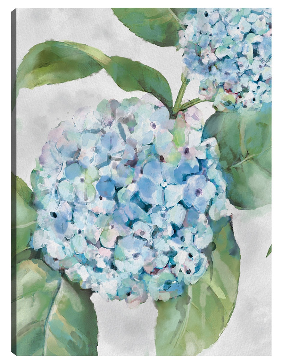 Cuadro decorativo Retratos De Hortensias I técnica mixta Floración