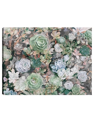 Cuadro decorativo Jardín Suculento mixta Cuadro decorativo Jardín Suculento mixta