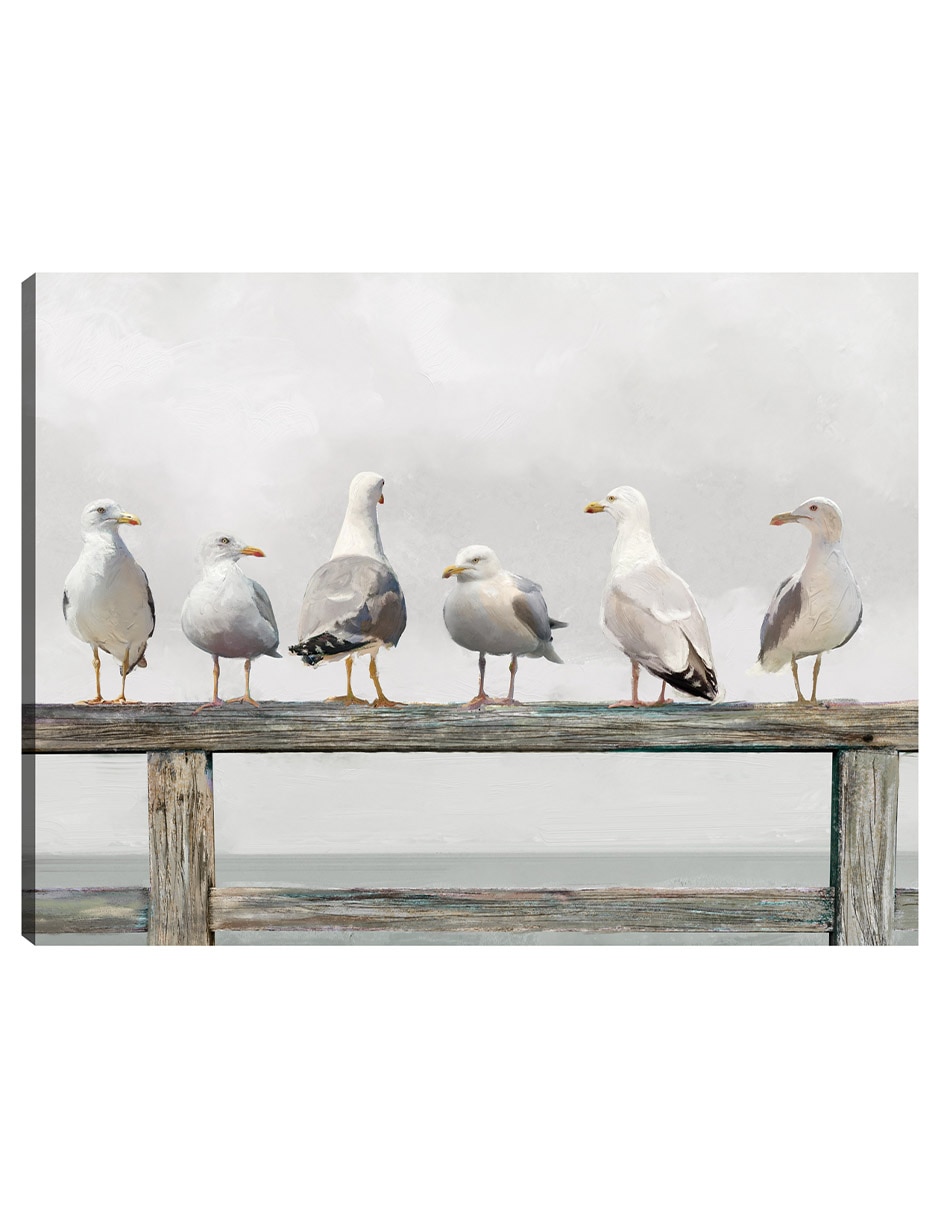 Cuadro decorativo Reunión De Gaviotas técnica mixta Aves Silvestres