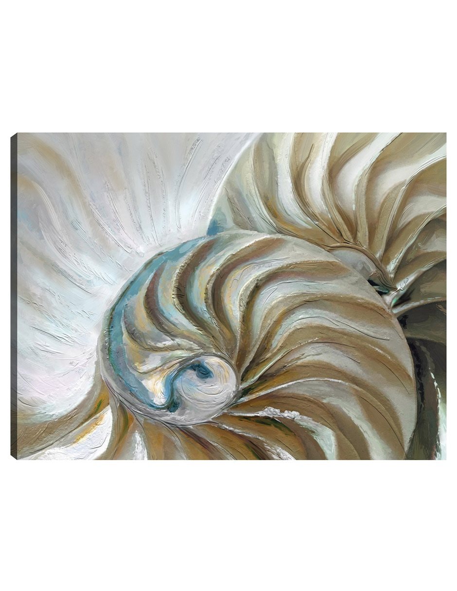 Cuadro decorativo Nautilo Dorado técnica mixta Playas