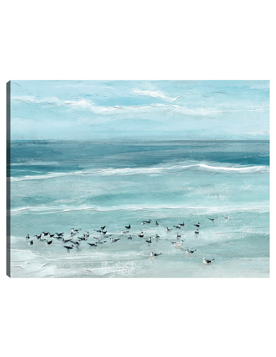 Cuadro decorativo Aves marinas técnica mixta Playas