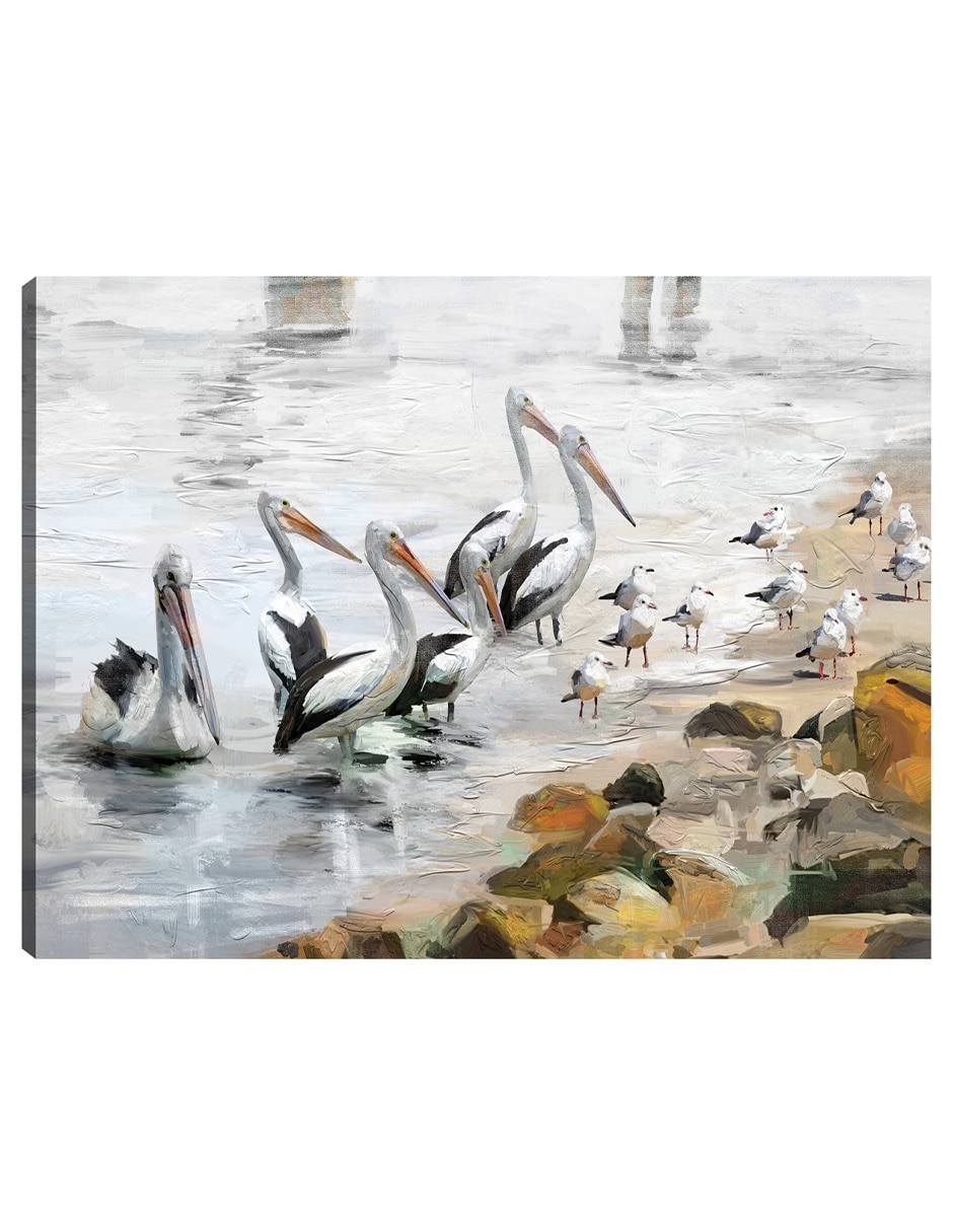 Cuadro decorativo Playa pelícano técnica mixta Aves silvestres Cuadro decorativo Playa pelícano técnica mixta Aves silvestres