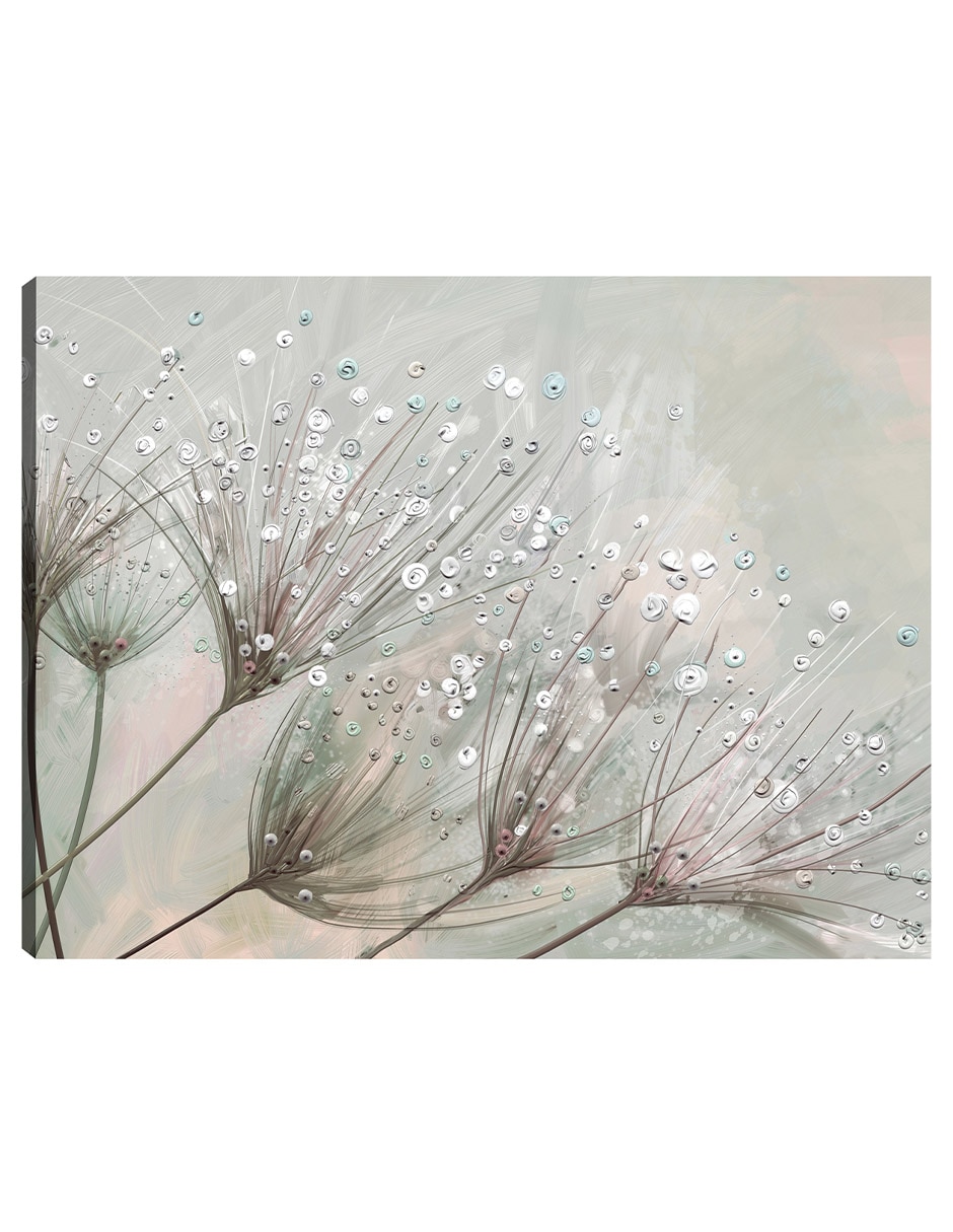 Cuadro decorativo Gotas de rocío mixta