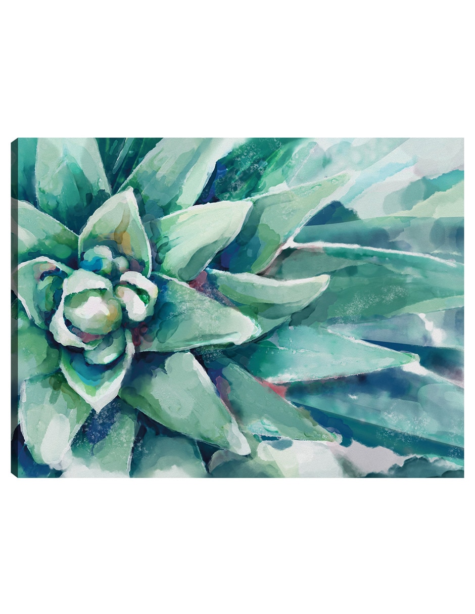 Cuadro decorativo Flor suculenta acuarela técnica mixta Floración