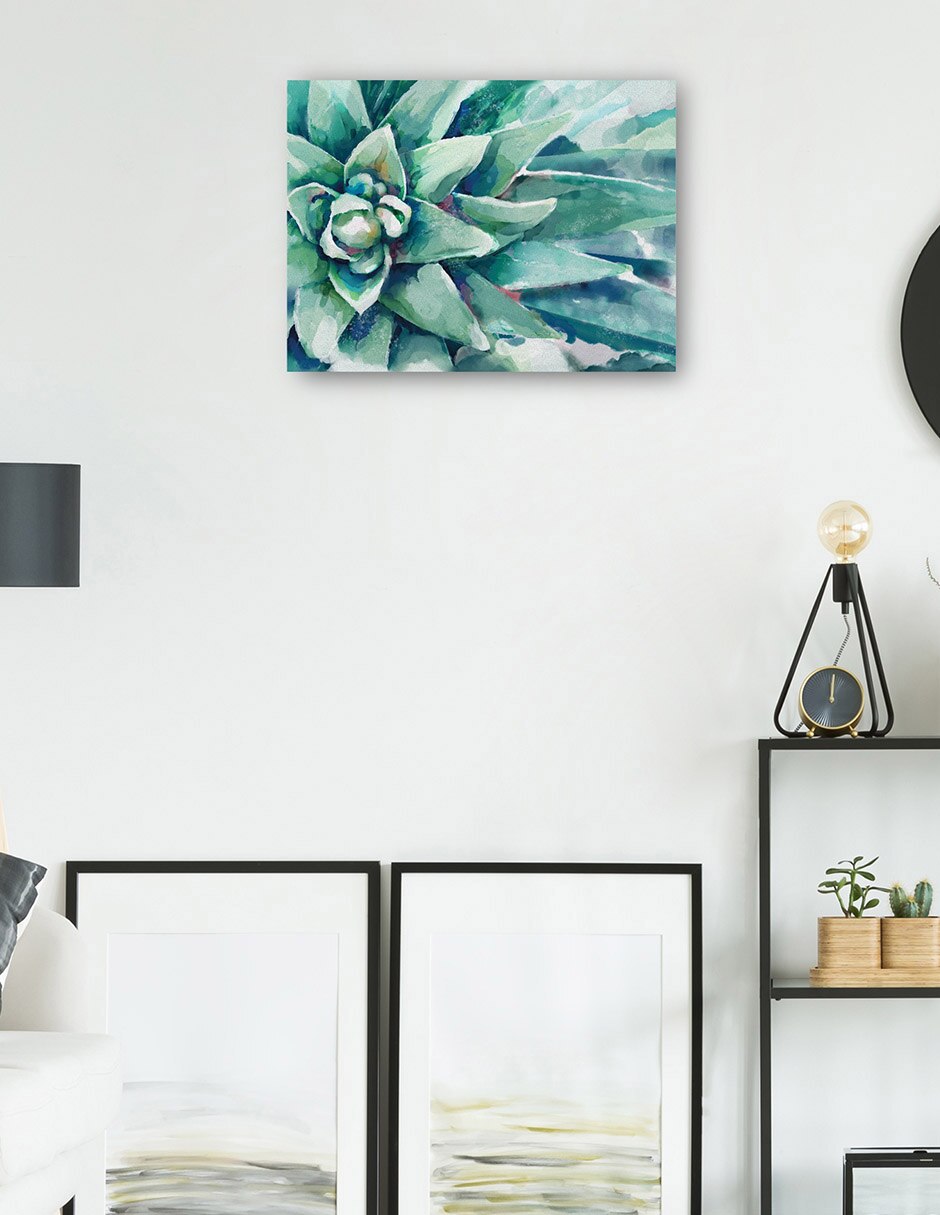 Cuadro decorativo Flor suculenta acuarela técnica mixta Floración 5