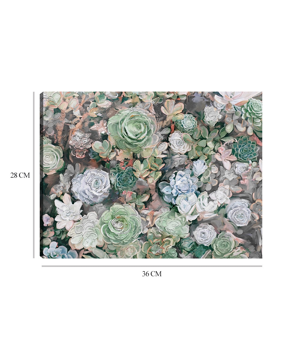 Cuadro decorativo Jardín suculento mixta 9