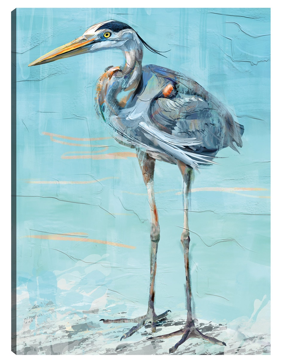 Cuadro decorativo Ave Marina - Impresión En Lienzo técnica mixta Animales Marinos Cuadro decorativo Ave Marina - Impresión En Lienzo técnica mixta Animales Marinos
