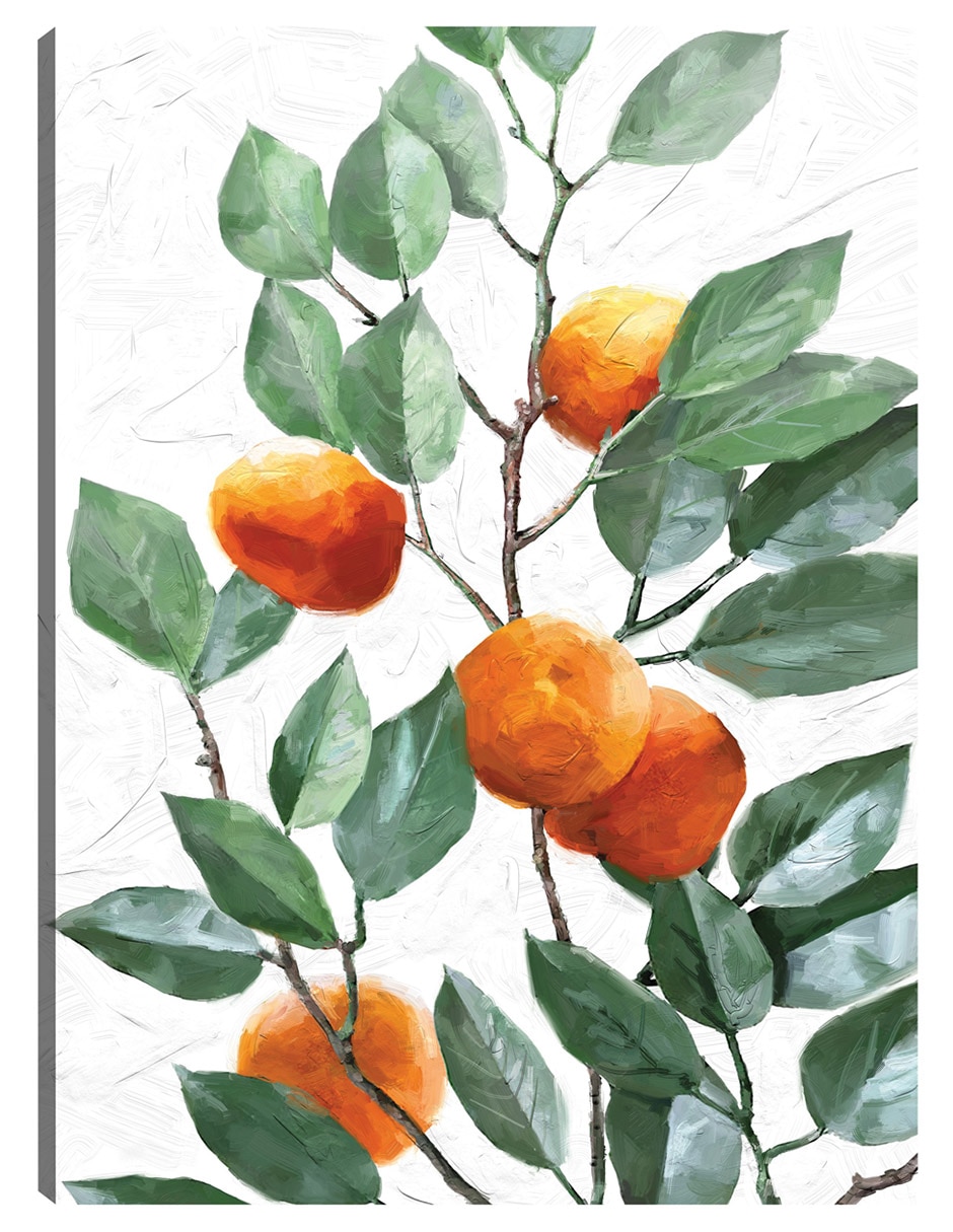 Cuadro decorativo Arbol De Mandarina - Impresión En Lienzo técnica mixta Naturaleza Cuadro decorativo Arbol De Mandarina - Impresión En Lienzo técnica mixta Naturaleza