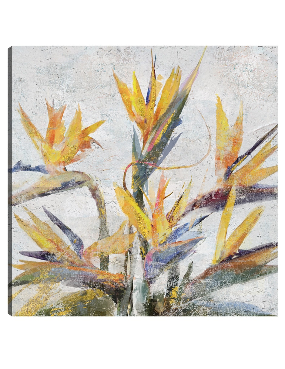 Cuadro decorativo Ave Del Paraíso - Impresión En Lienzo técnica mixta Floración