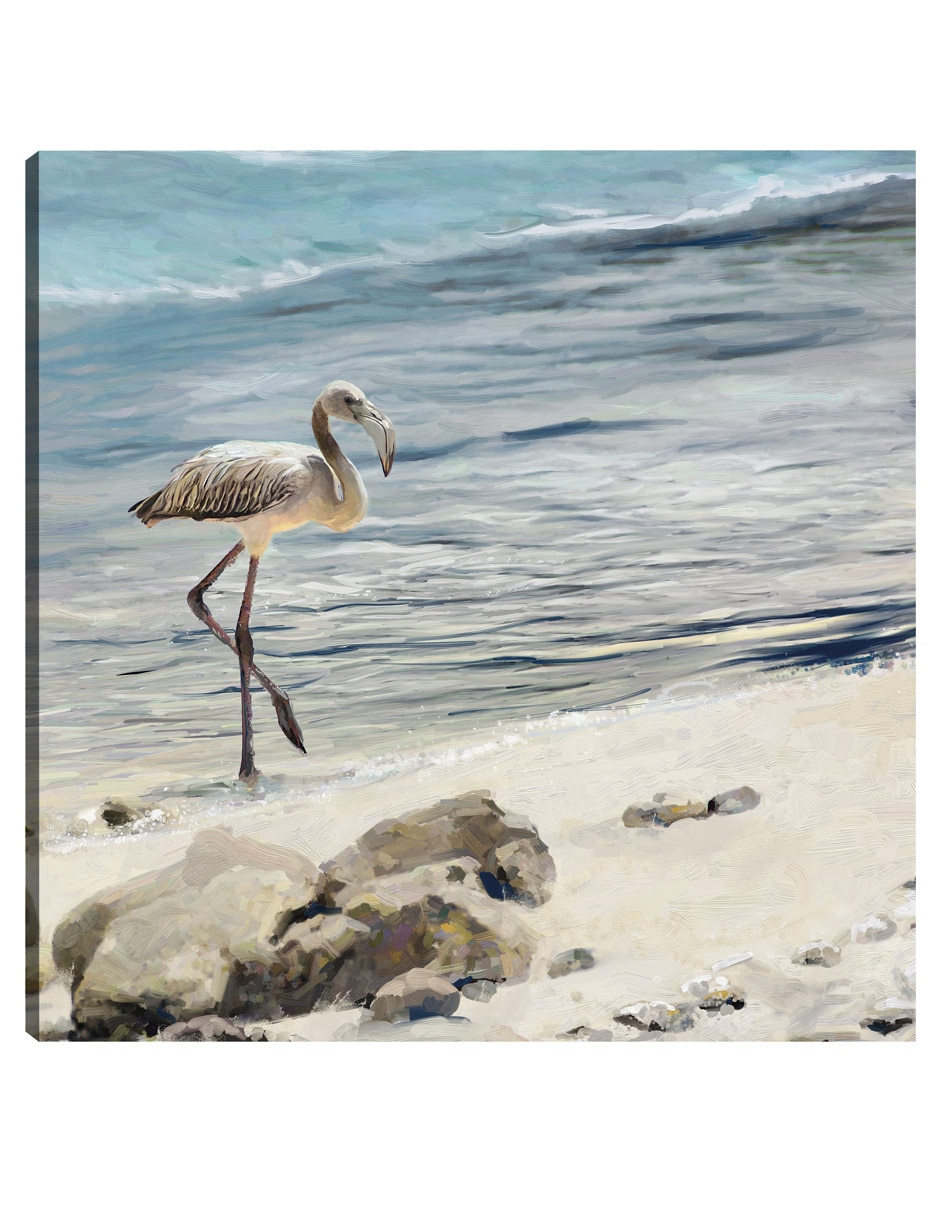 Cuadro decorativo Aves Playeras - Impresión En Lienzo técnica mixta Playas
