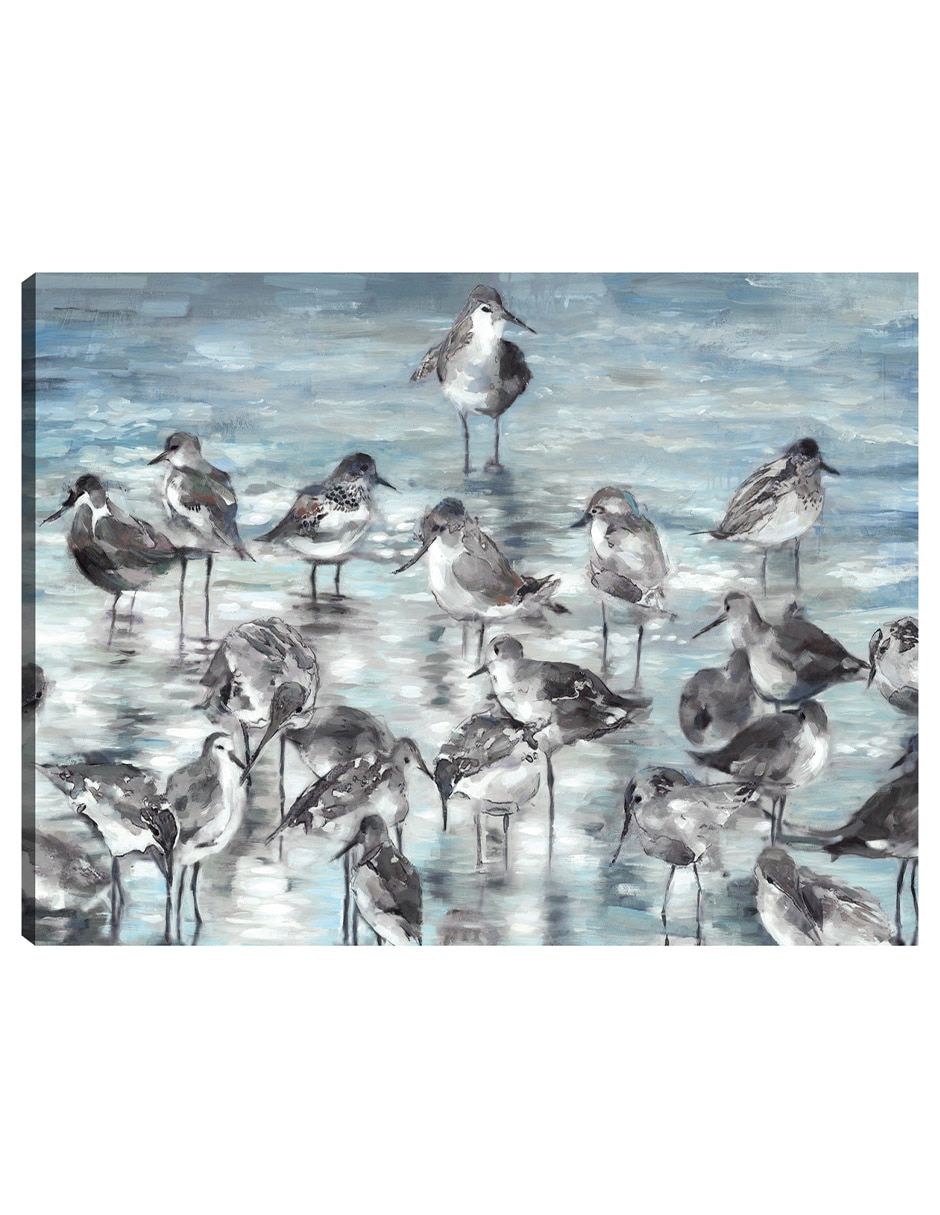 Cuadro decorativo Aves Costeras - Impresión En Lienzo técnica mixta Aves Silvestres