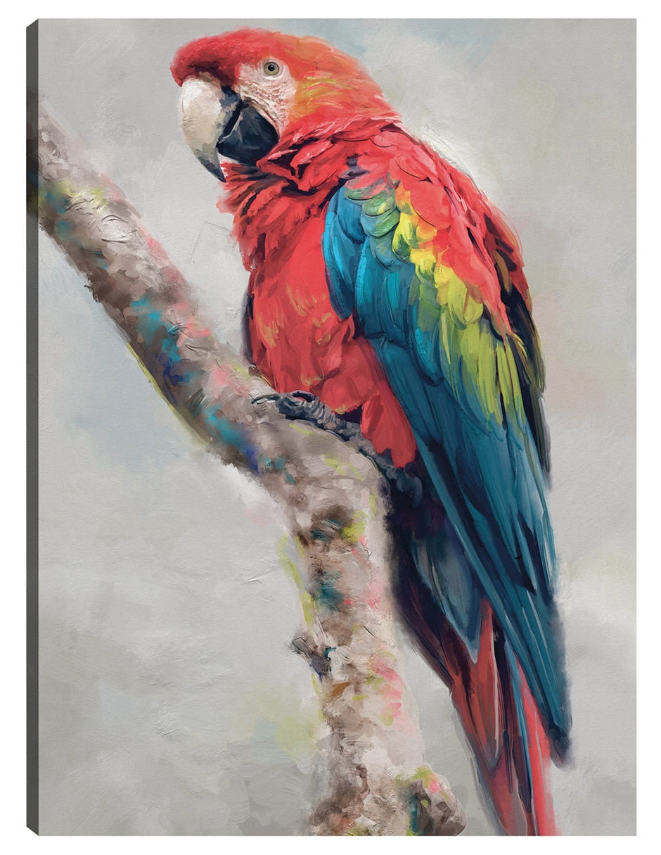 Cuadro decorativo Aviario De La Isla Ii - Impresión En Lienzo técnica mixta Vida Silvestre Cuadro decorativo Aviario De La Isla Ii - Impresión En Lienzo técnica mixta Vida Silvestre