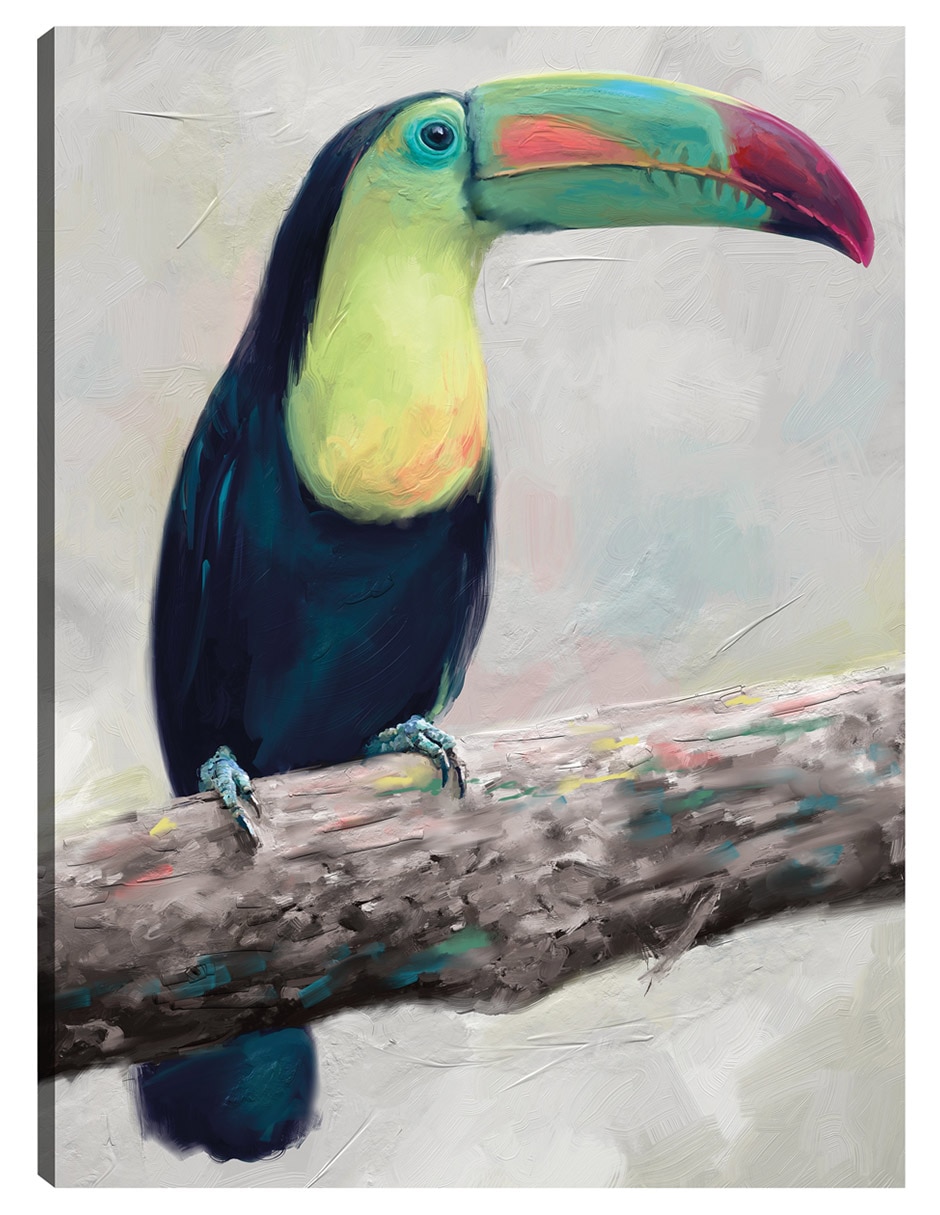 Cuadro decorativo Aviario De La Isla I - Impresión En Lienzo técnica mixta Vida Silvestre Cuadro decorativo Aviario De La Isla I - Impresión En Lienzo técnica mixta Vida Silvestre