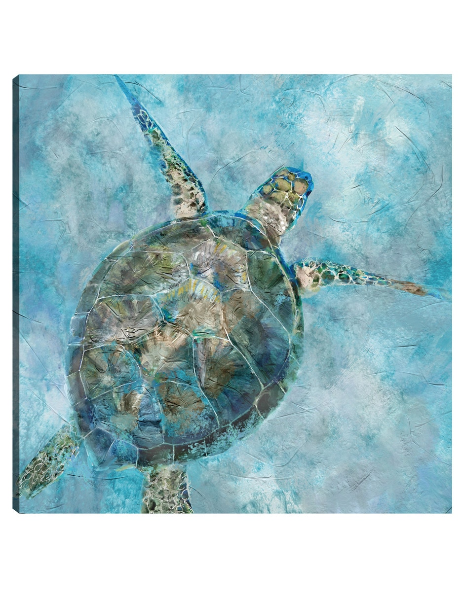 Cuadro decorativo Blues De Tortuga Marina - Impresión En Lienzo técnica mixta Animales Marinos Cuadro decorativo Blues De Tortuga Marina - Impresión En Lienzo técnica mixta Animales Marinos