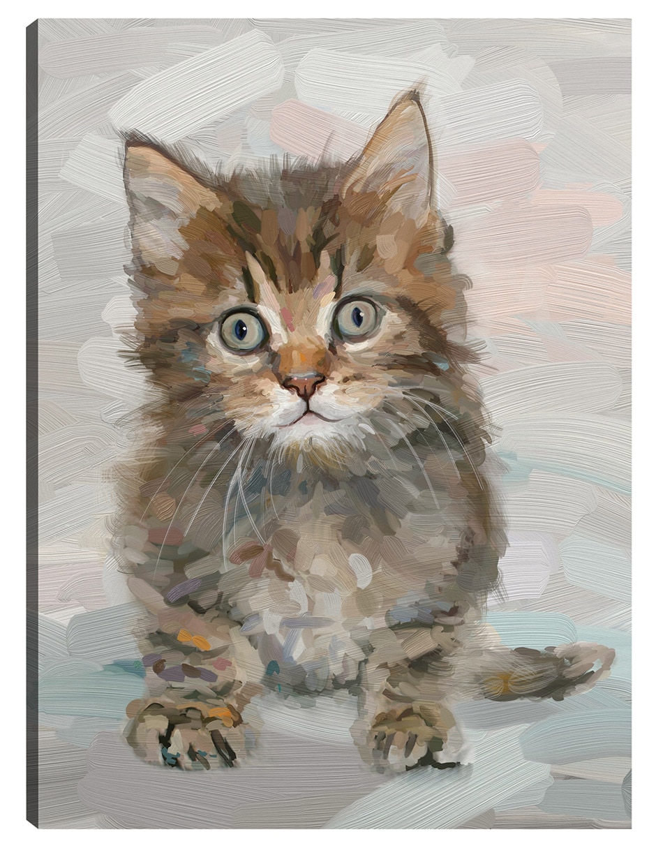 Cuadro decorativo Bonita Gatita Iv - Impresión En Lienzo técnica mixta Animales Domésticos
