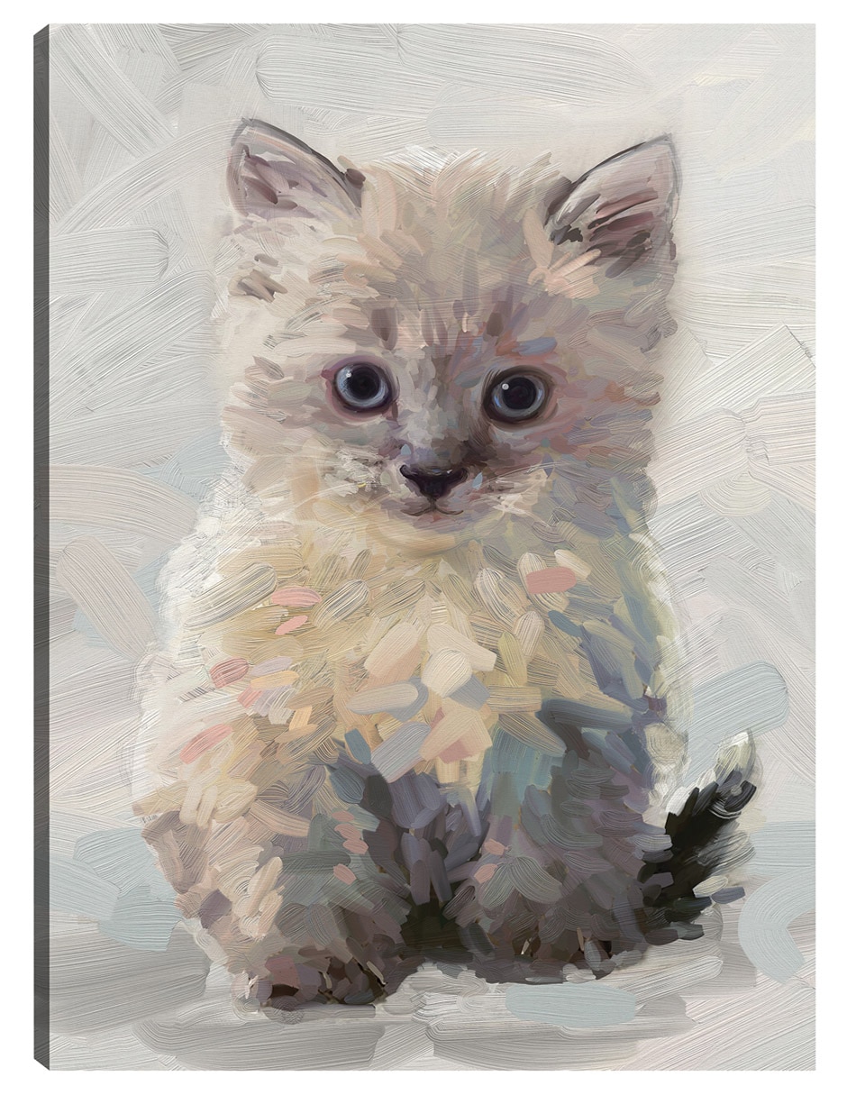 Cuadro decorativo Bonita Gatita I - Impresión En Lienzo técnica mixta Animales Domésticos Cuadro decorativo Bonita Gatita I - Impresión En Lienzo técnica mixta Animales Domésticos