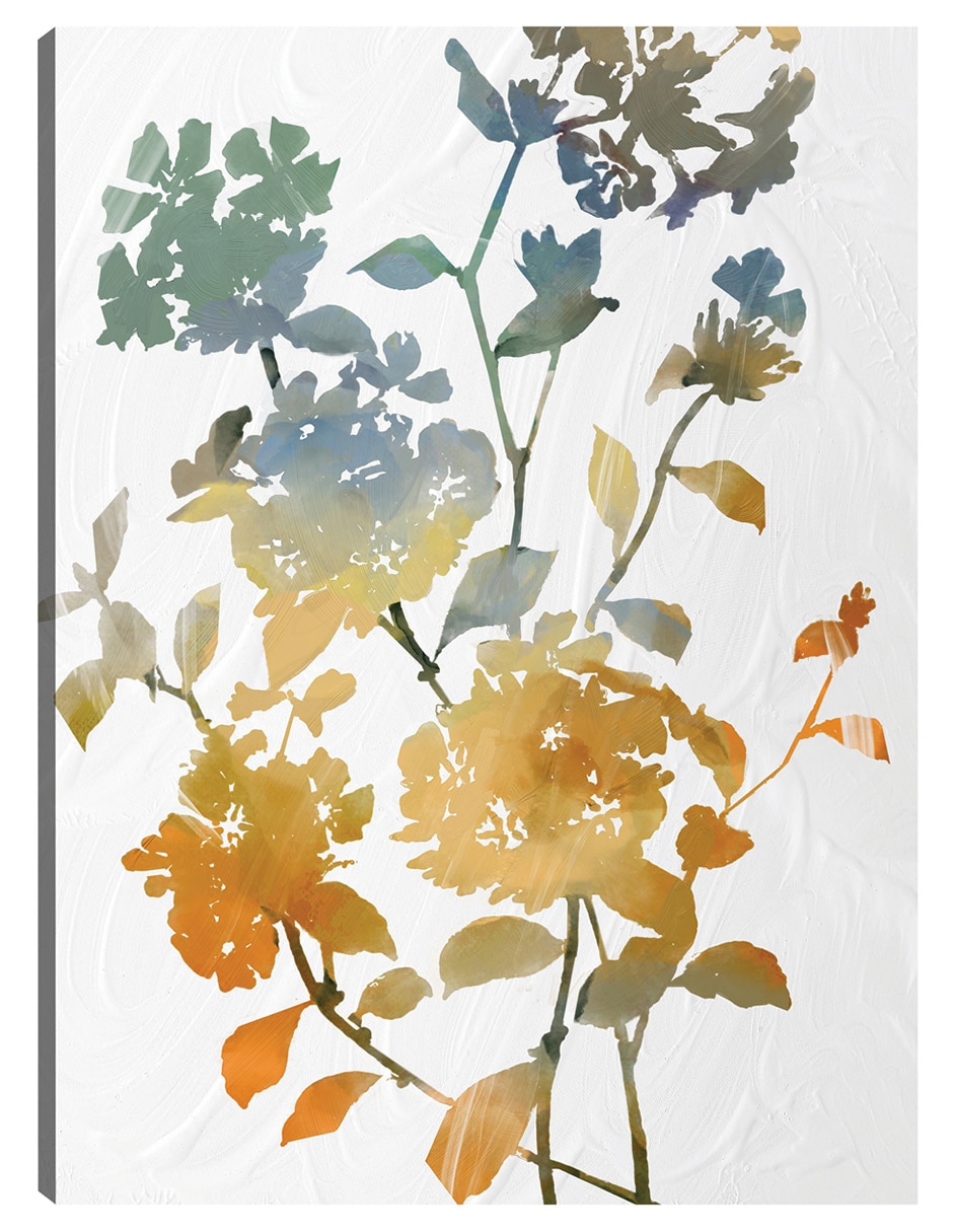 Cuadro decorativo Botánica Moderna I - Impresión En Lienzo técnica mixta Naturaleza