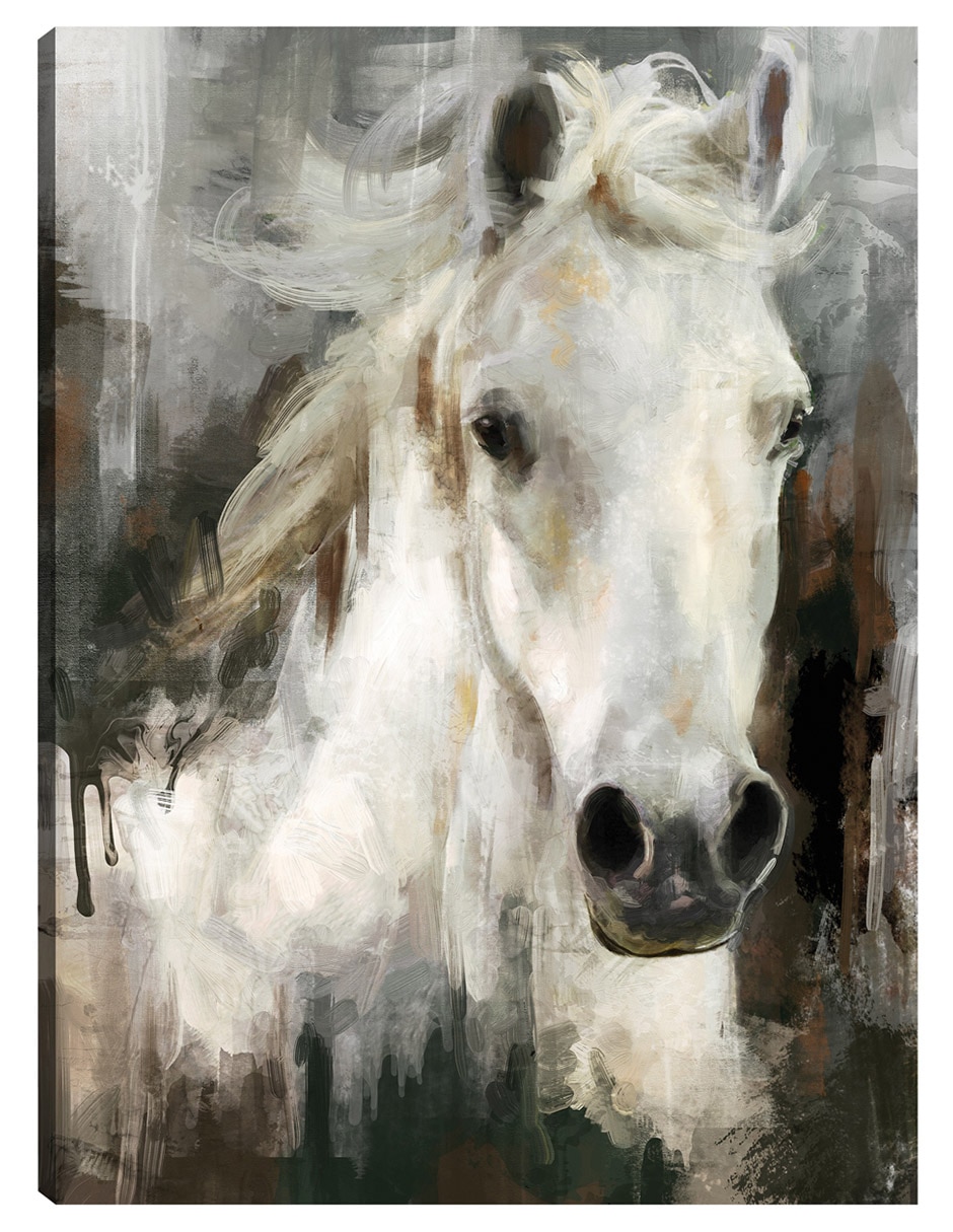 Cuadro decorativo Casper - Impresión En Lienzo técnica mixta Vida Silvestre Cuadro decorativo Casper - Impresión En Lienzo técnica mixta Vida Silvestre