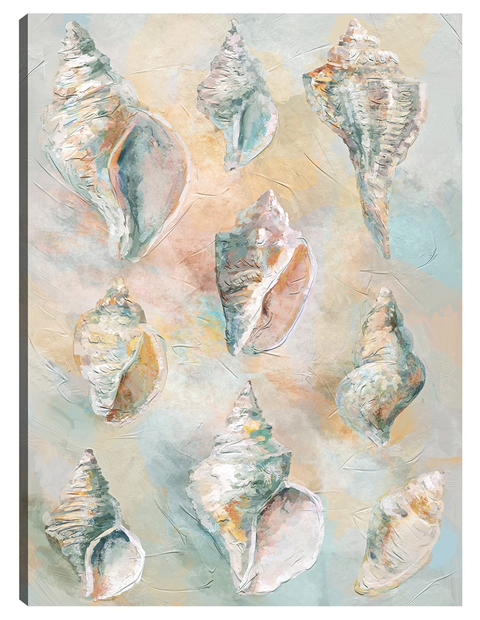 Cuadro decorativo Conchas De Tulipán Impresión En Lienzo técnica mixta Animales Marinos